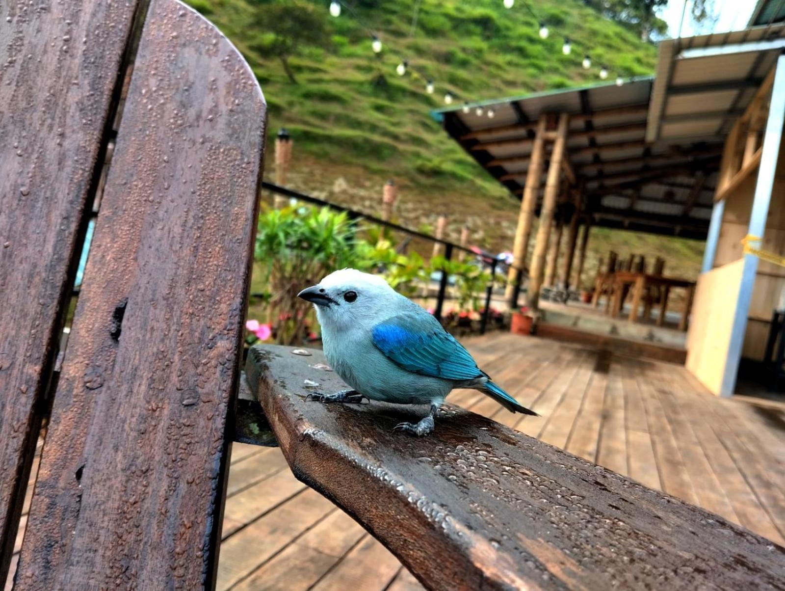 Hotel Rivel - Restaurant & Nature Retreat Turrialba Kültér fotó