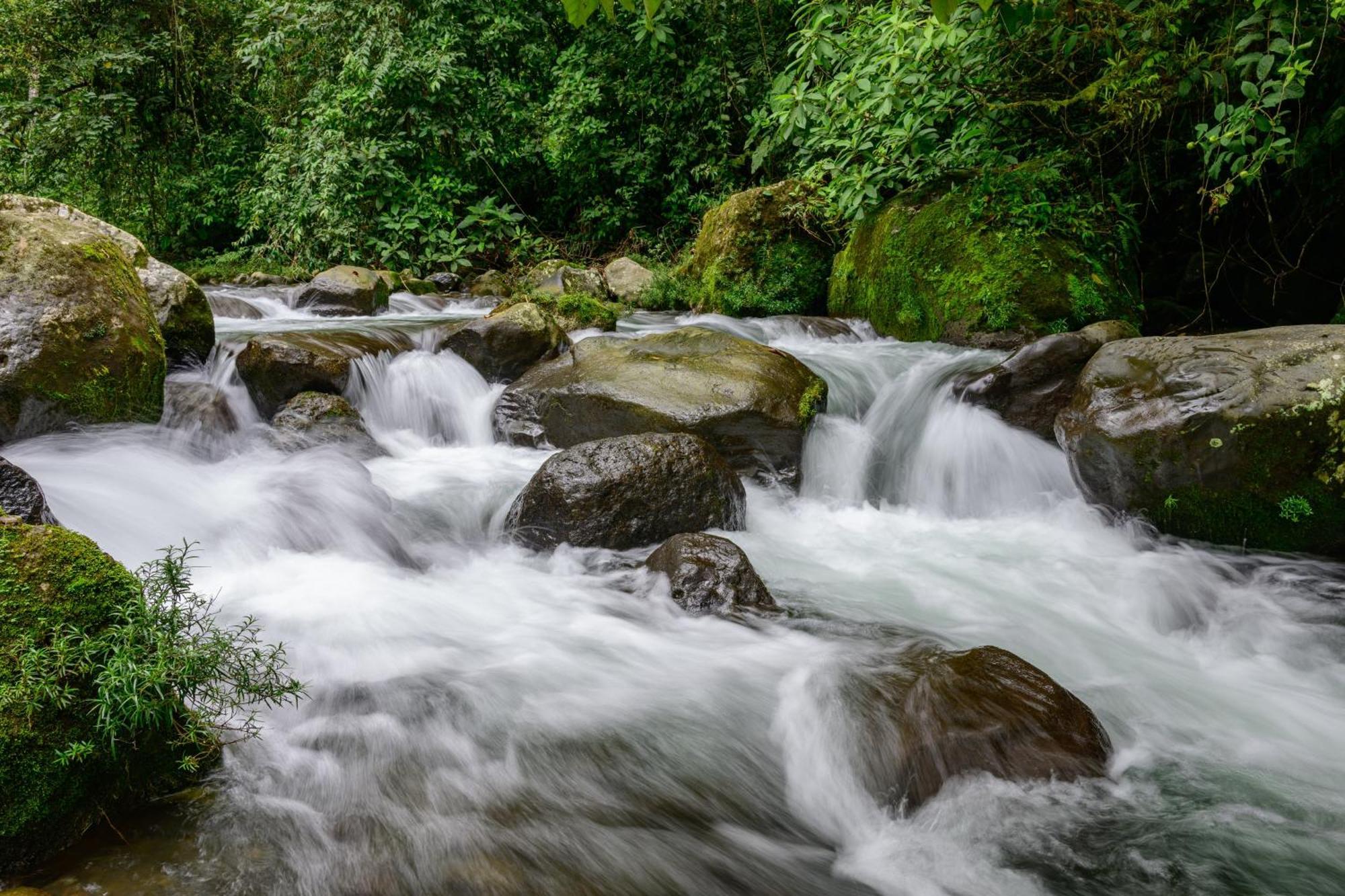 Hotel Rivel - Restaurant & Nature Retreat Turrialba Kültér fotó
