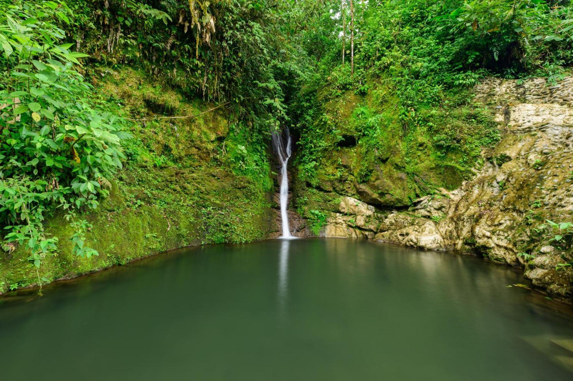 Hotel Rivel - Restaurant & Nature Retreat Turrialba Kültér fotó