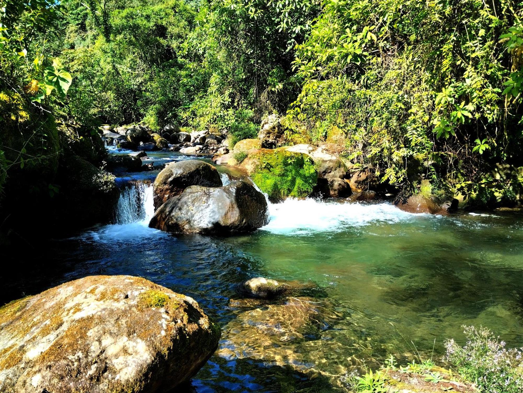 Hotel Rivel - Restaurant & Nature Retreat Turrialba Kültér fotó