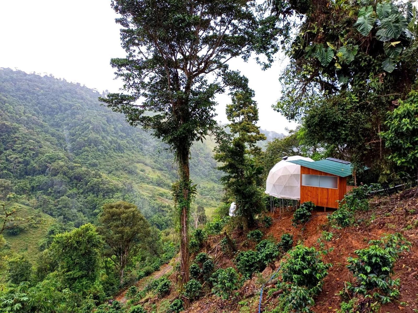 Hotel Rivel - Restaurant & Nature Retreat Turrialba Kültér fotó