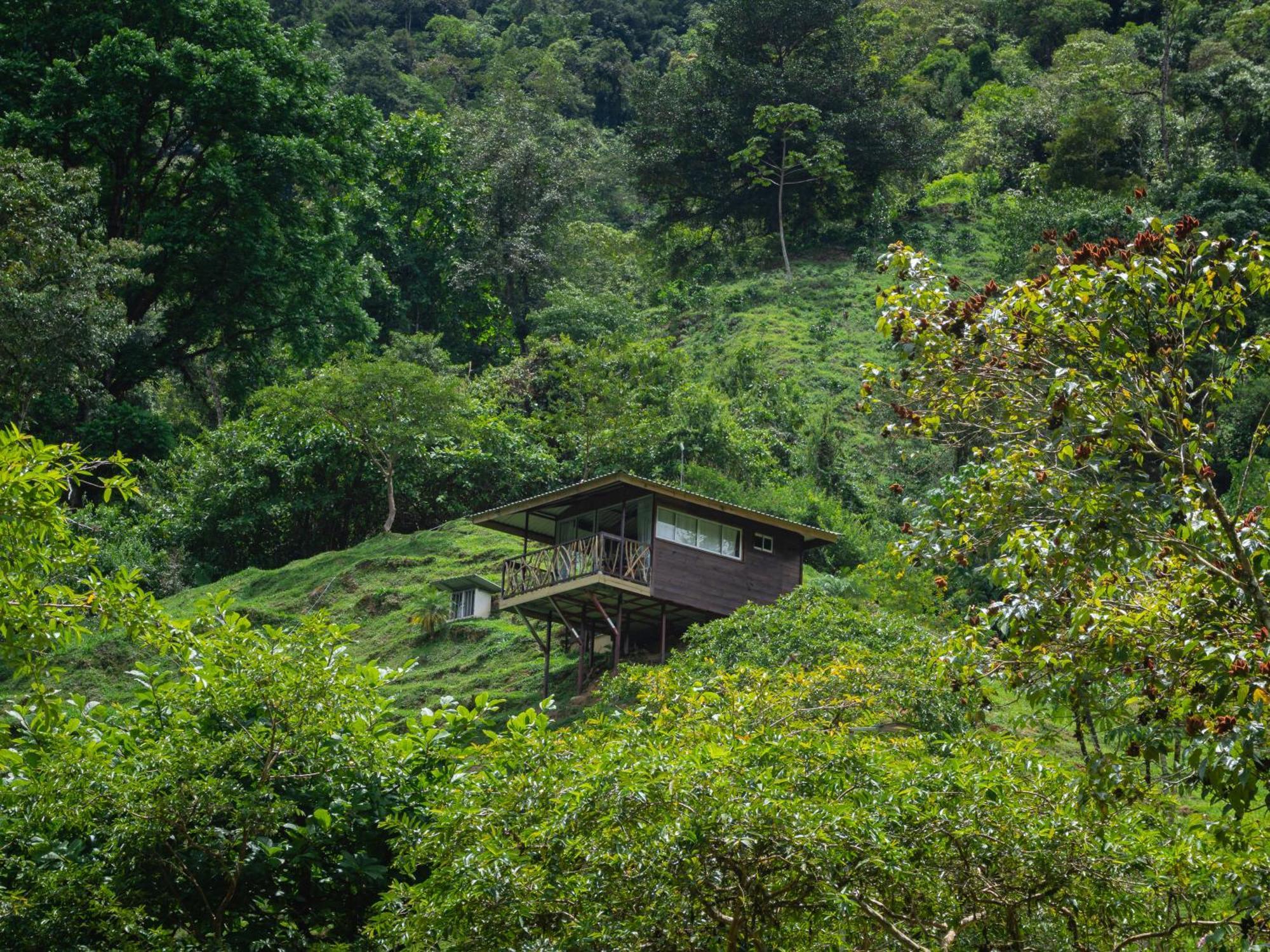 Hotel Rivel - Restaurant & Nature Retreat Turrialba Kültér fotó