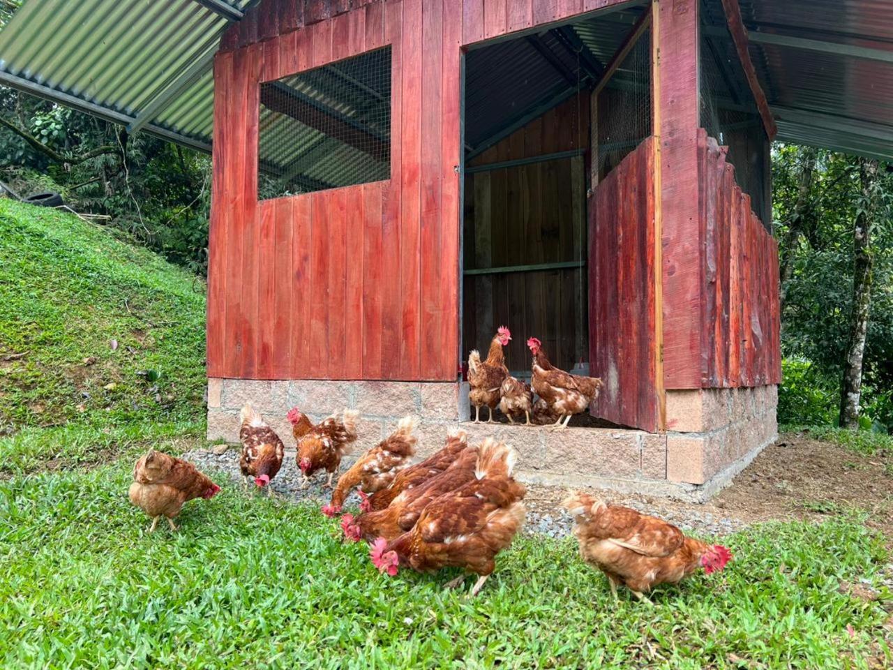 Hotel Rivel - Restaurant & Nature Retreat Turrialba Kültér fotó